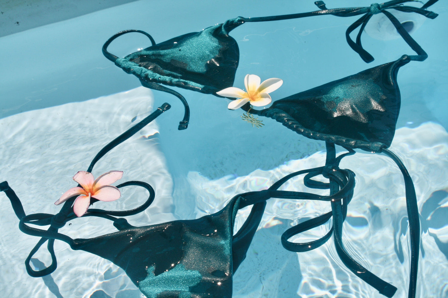 The Coastal Collection